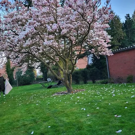 Westküste *